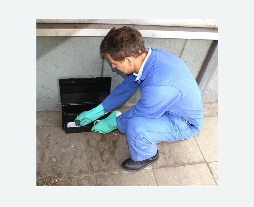 Уничтожение мышей в Нижнеудинске Уничтожение мышей