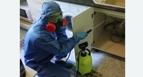 Уничтожение муравьев в квартире. Нижнеудинск