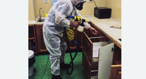 Уничтожение насекомых в квартире. Нижнеудинск