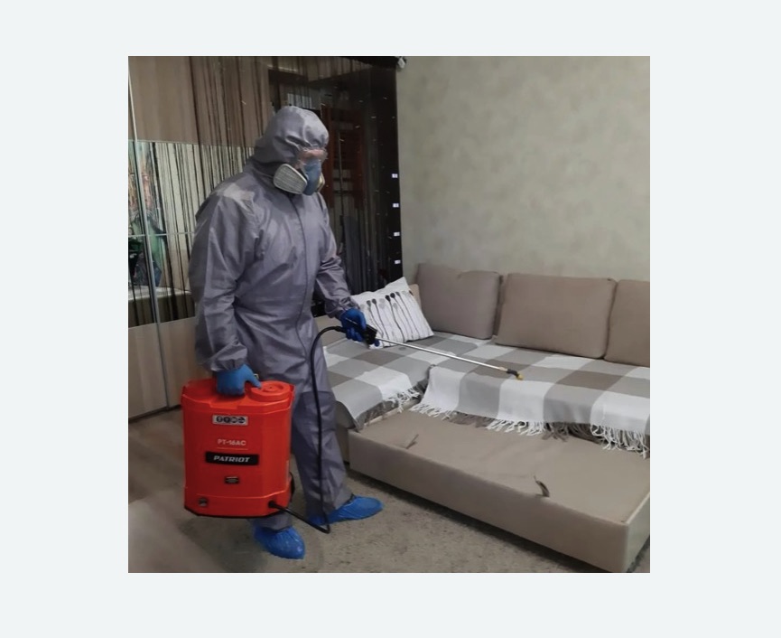 Обработка квартиры от блох в Нижнеудинске Обработка квартиры от блох