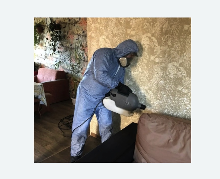 Уничтожение блох в квартире. Нижнеудинск Уничтожение блох в квартире