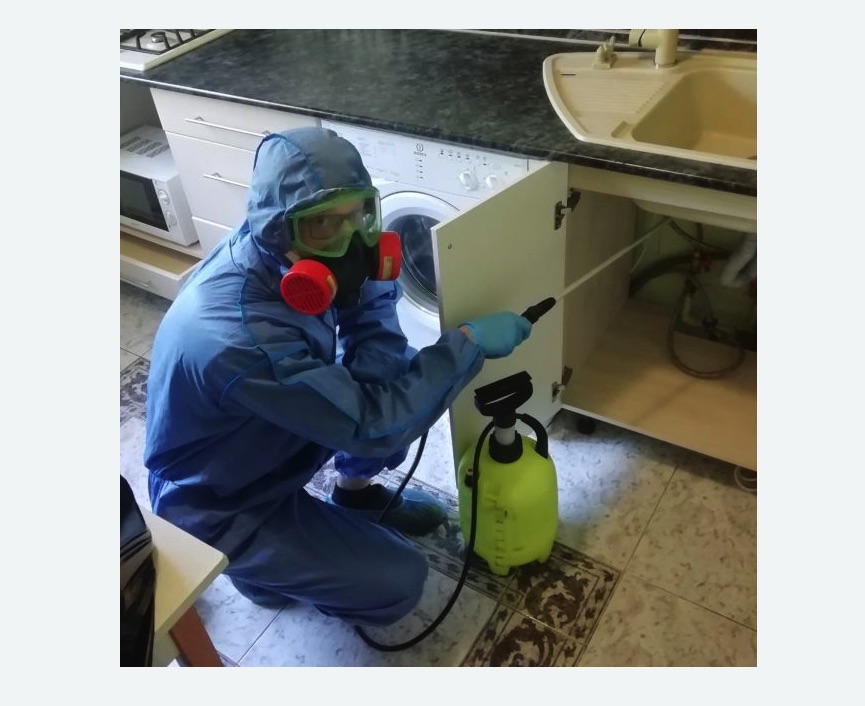 обработка от муравьев в квартире обработка от муравьев в квартире в Нижнеудинске