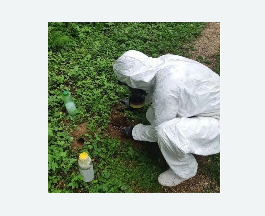 уничтожение кротов на участке уничтожение кротов на участке в Нижнеудинске