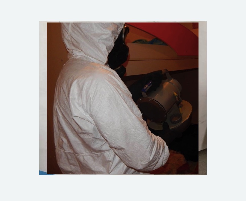 Дезинфекция от муравьев Дезинфекция от муравьев в Нижнеудинске