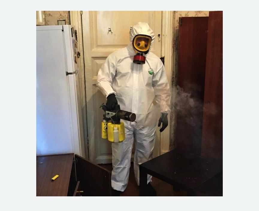 уничтожение муравьев в квартире уничтожение муравьев в квартире в Нижнеудинске